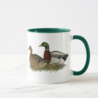 Rouen Ducks