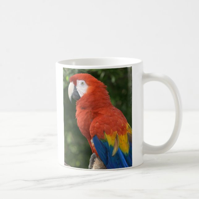 Tasse rouge d'ara (Droite)