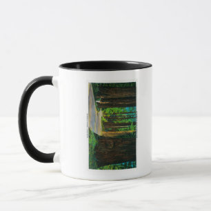 Tasse Route de séquoia en parc de séquoia d'état de