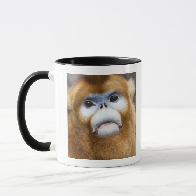 Tasse Roxellana d'or masculin de Pygathrix de singe (Gauche)