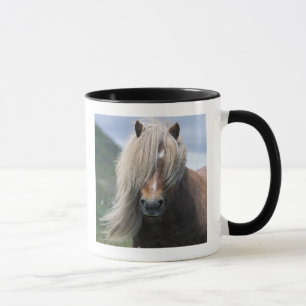 Tasse Royaume-Uni, Ecosse, Shetland Islands, Shetland po