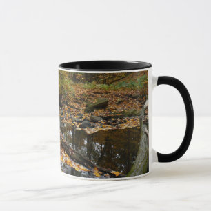 Tasse Ruisseau de Fall avec reflet au parc Laurel Hill