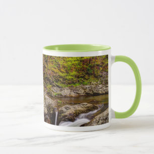 Tasse Ruisseau forestier dans les Great Smoky Mountains