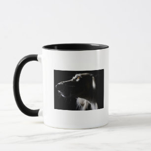 Tasse Saluki, portrait