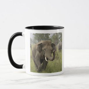 Tasse Salutation des éléphants d'Asie indienne
