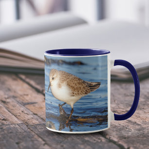 Tasse Sanderling errant