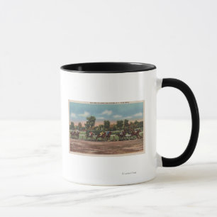Tasse Saratoga Springs, NY - Hippodrome