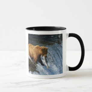 Tasse Saumon Brown de l'Alaska à Brooks
