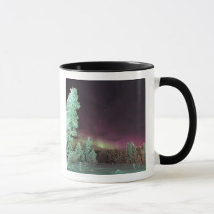 Tasse Scandinavie, Finlande, Laponie, Kakslauttanen,