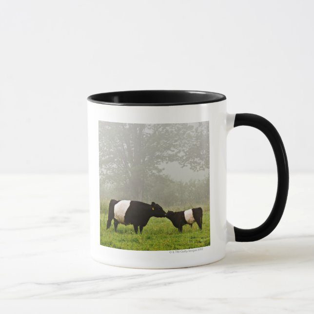 Tasse Scène brumeuse de la vache ceinturée à Galloway (Droite)