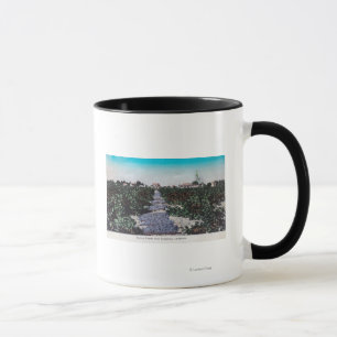 Tasse Scène de vignoble des raisins DryingKingsburg, CA