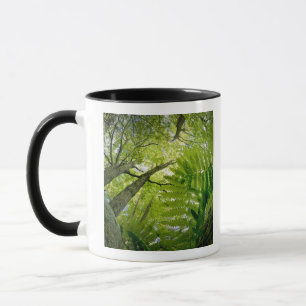 Tasse Scène forestière dans le parc national d'Acadia, M
