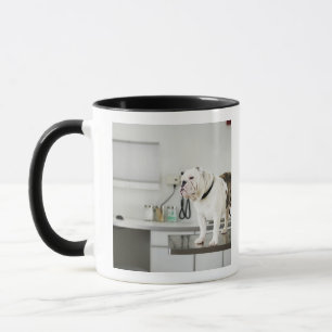 Tasse Seattle, Washington, Etats-Unis