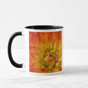Tasse Serré dans les photographies de fleur de Dalhia av