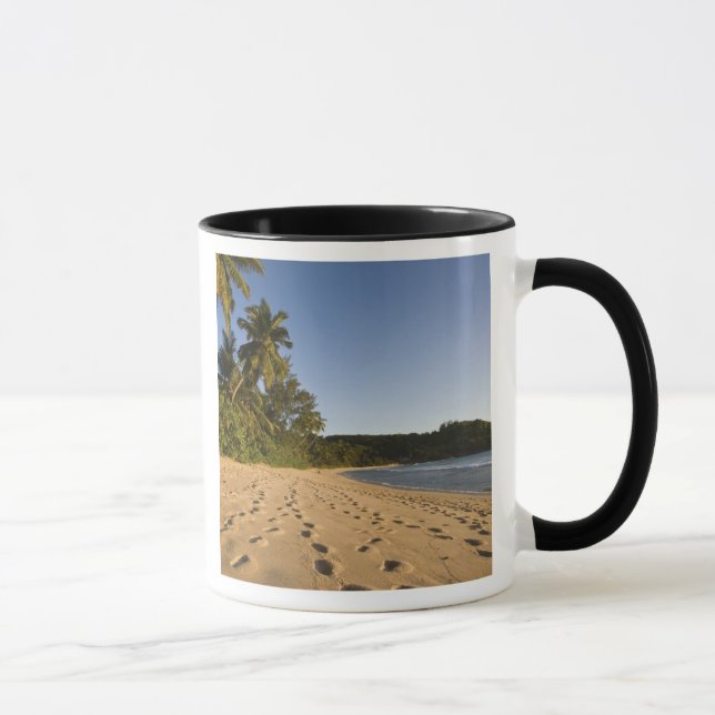 Tasse Seychelles, île de Mahe, plage d'Anse Takamaka, 2 (Droite)