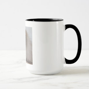 Tasse sibérienne de chat