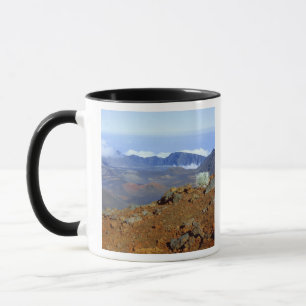 Tasse Silversword sur le bord du cratère Haleakala depui