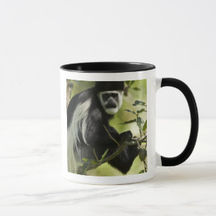 Tasse Singe colobre noir et blanc