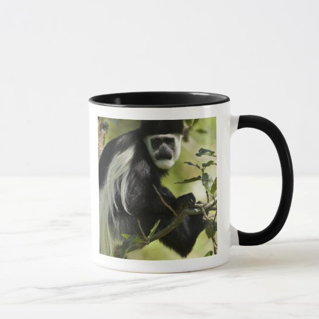 Tasse Singe colobre noir et blanc (Droite)