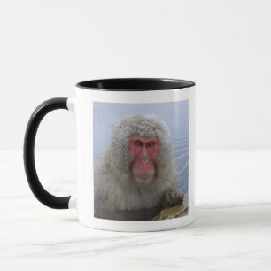 Tasse Singe japonais de neige dans le hotspring