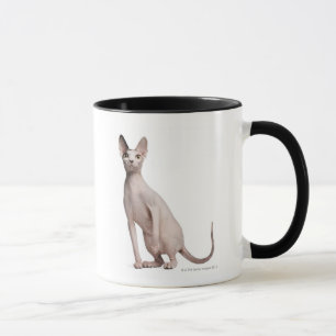 Tasse Sphynx (13 mois)