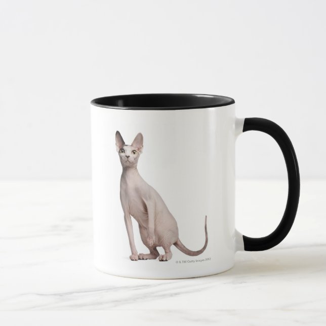 Tasse Sphynx (13 mois) (Droite)