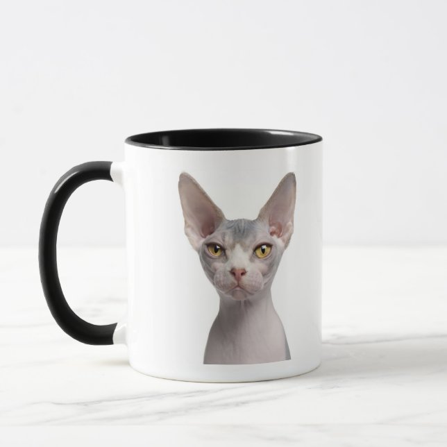 Tasse Sphynx (7 mois) (Gauche)
