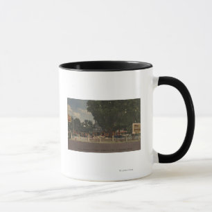 Tasse St Augustine, FL - Ripley Croire--ou-Non