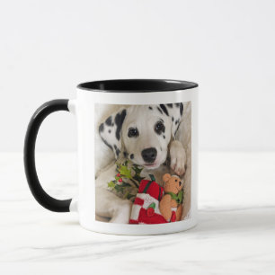 Tasse studio