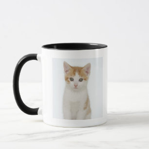 Tasse Studio tiré du chaton