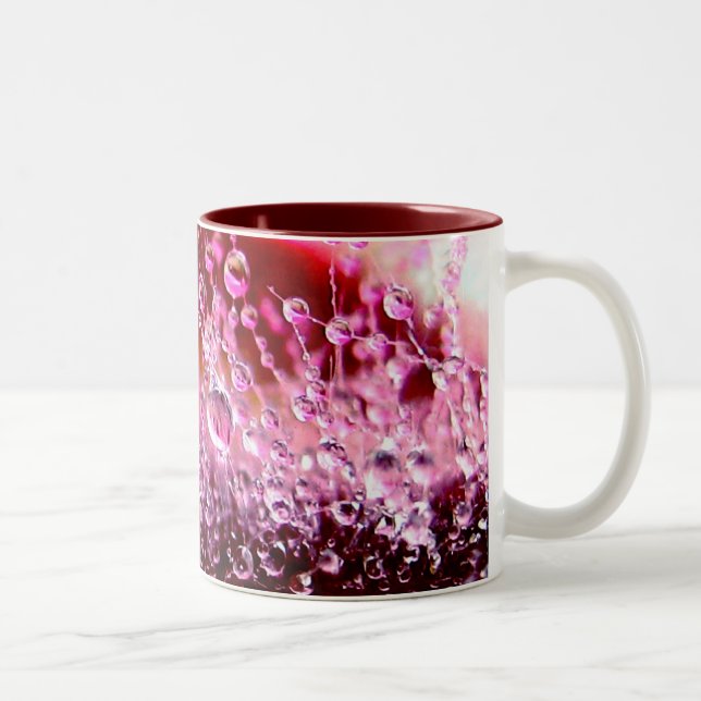 Tasse succulente (Droit)