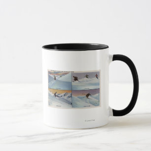 Tasse Sun Valley, identification - ski
