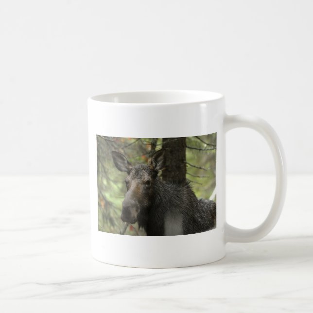 Tasse sylvatique d'orignaux (Droite)