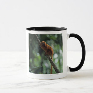 Tasse Tamarin d'or de lion (rosalia de Leontopithecus)