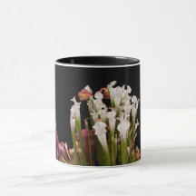 tasse, tasse de café