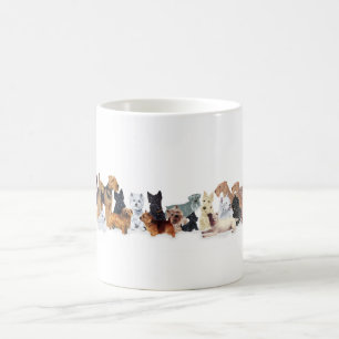 Tasse Terrier