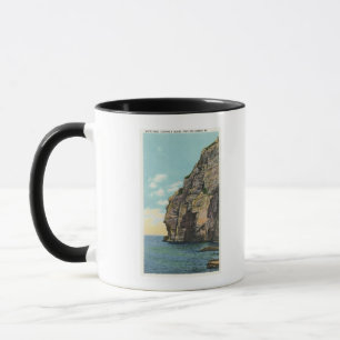 Tasse Tête blanche dans le port de Portland