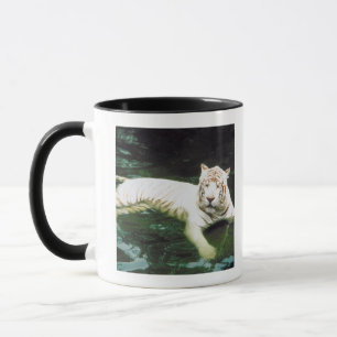 Tasse Tigre blanc nageant paisiblement