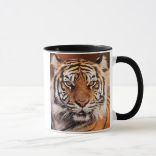 Tasse Tigre de Sumatra