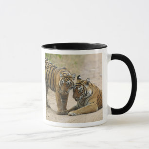 Tasse Tigre du Bengale royal et jeune - Se touchant en a