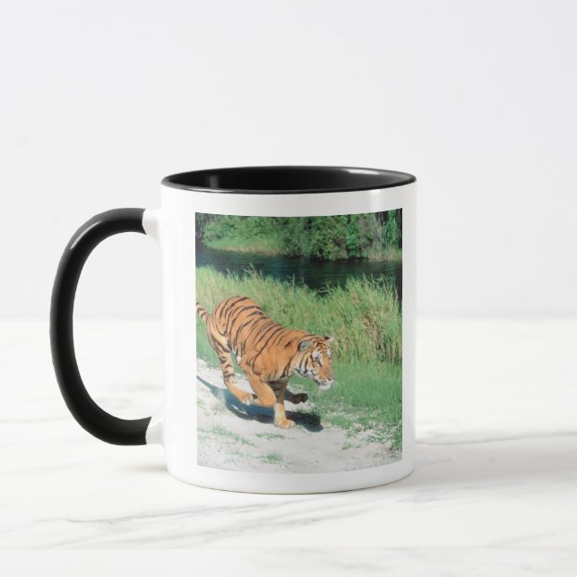 Tasse Tigre sur le chemin (Gauche)