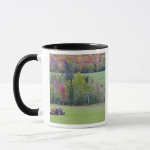 Tasse Tracteur avec balle de foin dans un champ vert ave