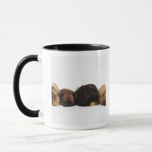 Tasse Trois chiens de Pekingese et carlin simple se