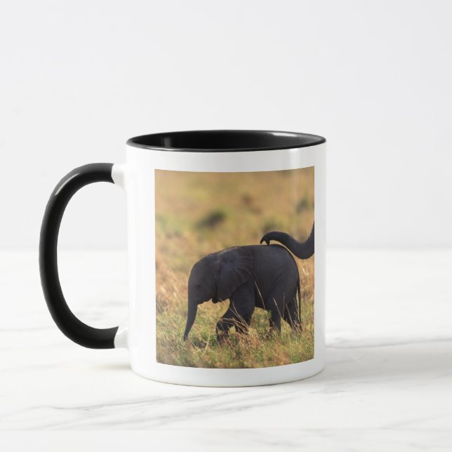 Tasse Tronc de progéniture émouvante d'éléphant, Kenya, (Gauche)