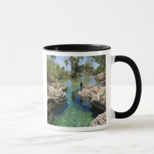 Tasse Trou de l'Alligator, ville de Black River, Jamaïqu