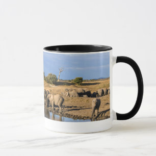 Tasse Troupeau d'Éléphant de Savane d'Afrique (Loxodonta