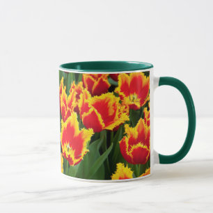 Tasse Tulipa Fabio, Keukenhof, Pays-Bas
