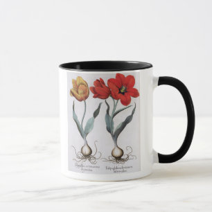 Tasse Tulipes : colore de cinnabrio de serotina du