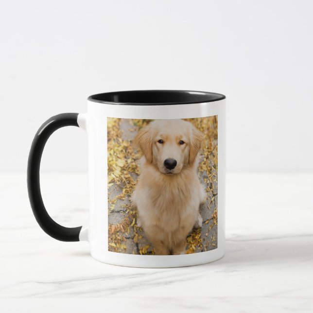 Tasse Un golden retriever d'ans, portrait (Gauche)