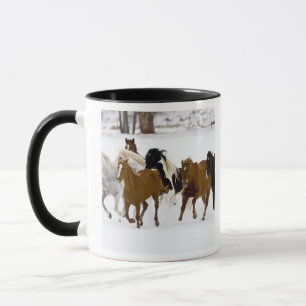 Tasse Un hiver pittoresque de chevaux en course